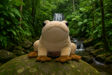 Load image into Gallery viewer, Large Coquí Plush (Musical) | Peluche Coquí Grande (Musical)